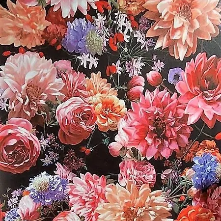 Blumenraum 3 Apartamento