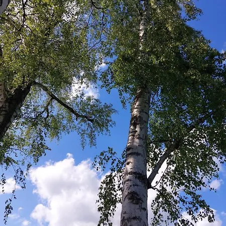 Blumenraum 3 Apartamento Karlsruhe