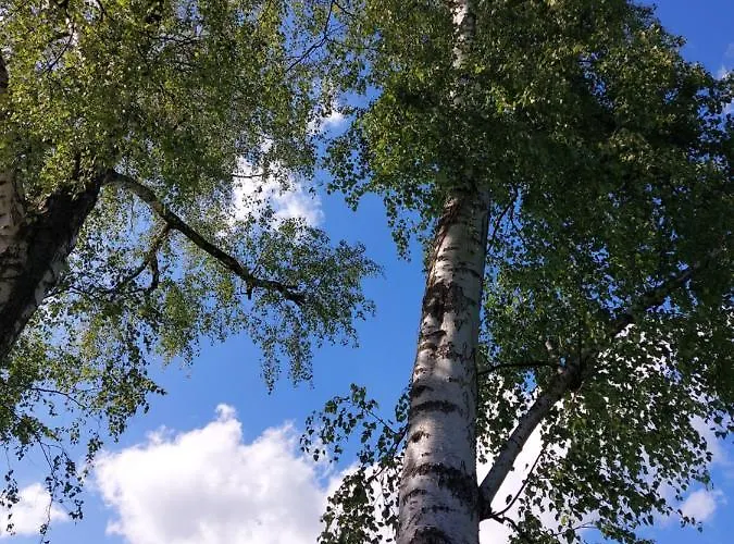 Blumenraum 3 Daire Karlsruhe